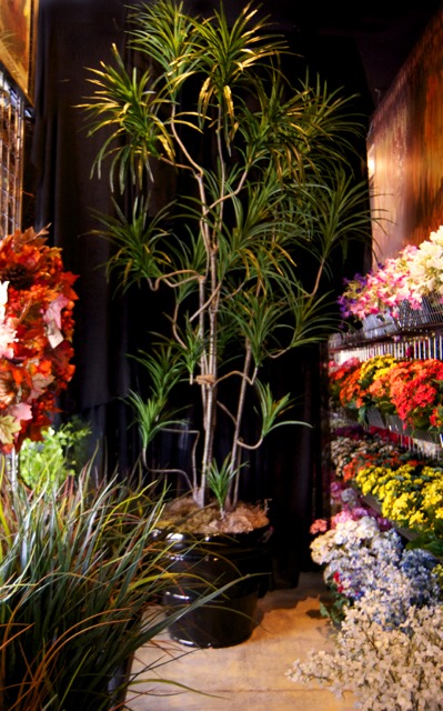 MPR_3455 - Version 2.jpg