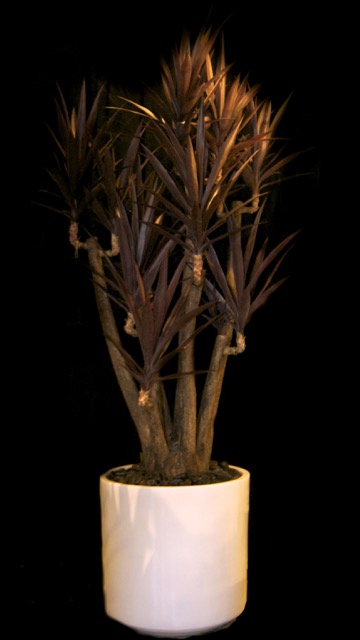 MPR3500 - Version 3.jpg